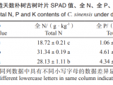 立地環(huán)境改造對古樹根系分布特征的影響——以 44011111322000296號(hào)樸樹為例*